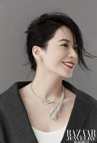 俞飞鸿优雅知性写真图片26