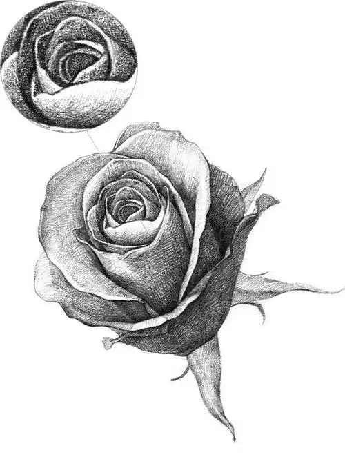 素描教程 如何画一个简单的玫瑰