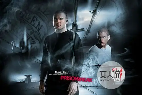 越狱第五季演员表剧情曝光 迈克尔死而复生终成功越狱(2)