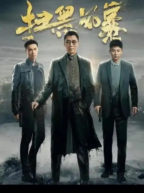 电视剧扫黑风暴来说说孙大漂亮的演技