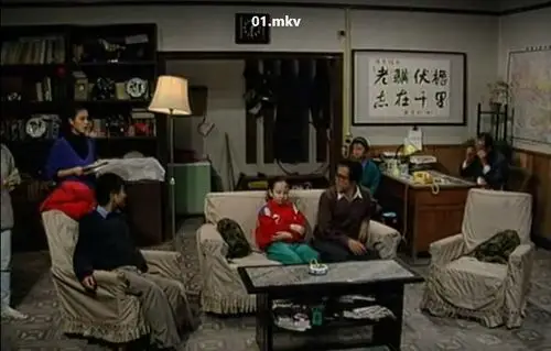 升级版《家有儿女》是只升级了剧名吗?