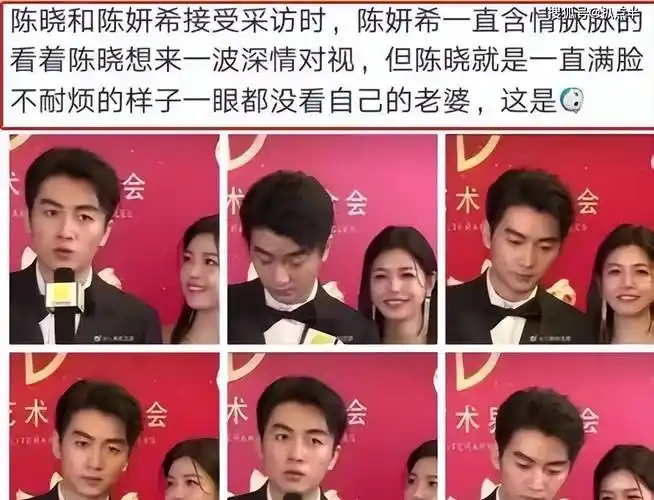 原创演活凤凰男陈晓转型成功娱圈第一恋爱脑为何负了赵丽颖