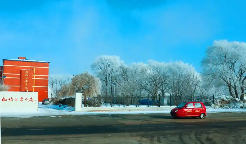 2021年最漂亮的雾凇