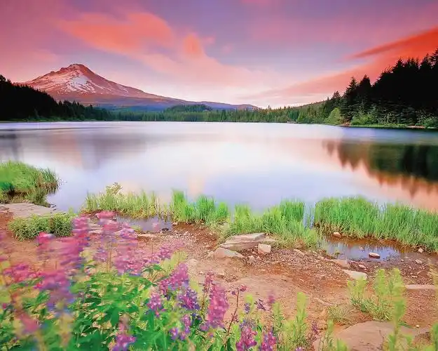 美丽的大自然风景