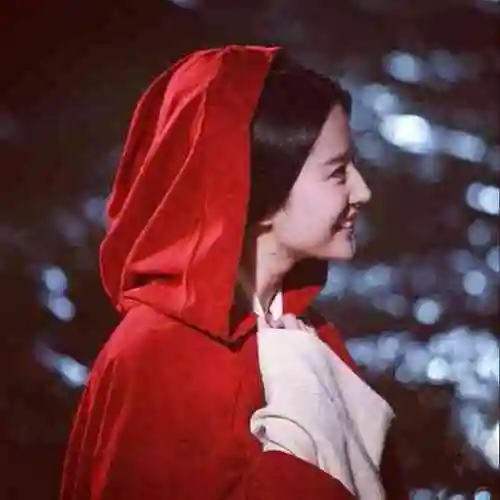 灵雎 刘亦菲 铜雀台 头像