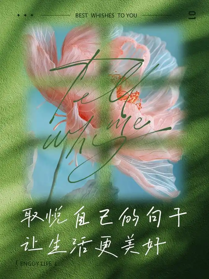 取悦自己的句子,让生活更美好