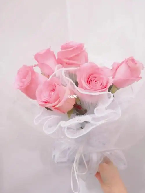 6朵粉玫瑰花语是幸福快乐,还代表着互敬,互爱,互谅.