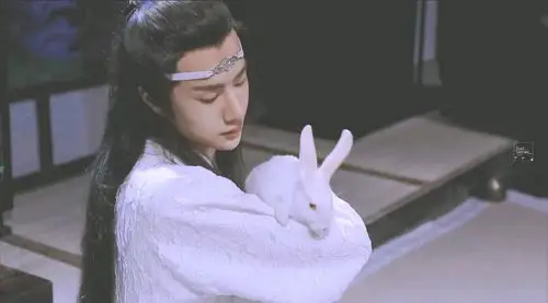 天庭,蓝湛看着玉兔甚是可爱便将他抱在怀中.