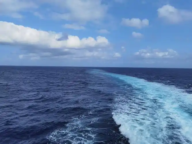 今年7月1日起我国正式实施公海自主休渔