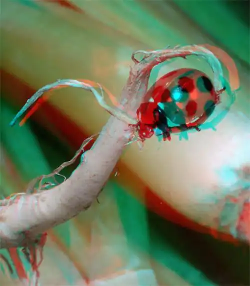 【引用】精美3d图片欣赏