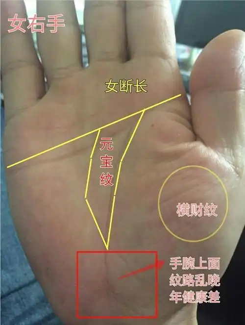 这才是贤妻良母兴家业的好手相,难得一见!