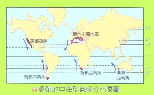 葡萄酒之地中海式气候