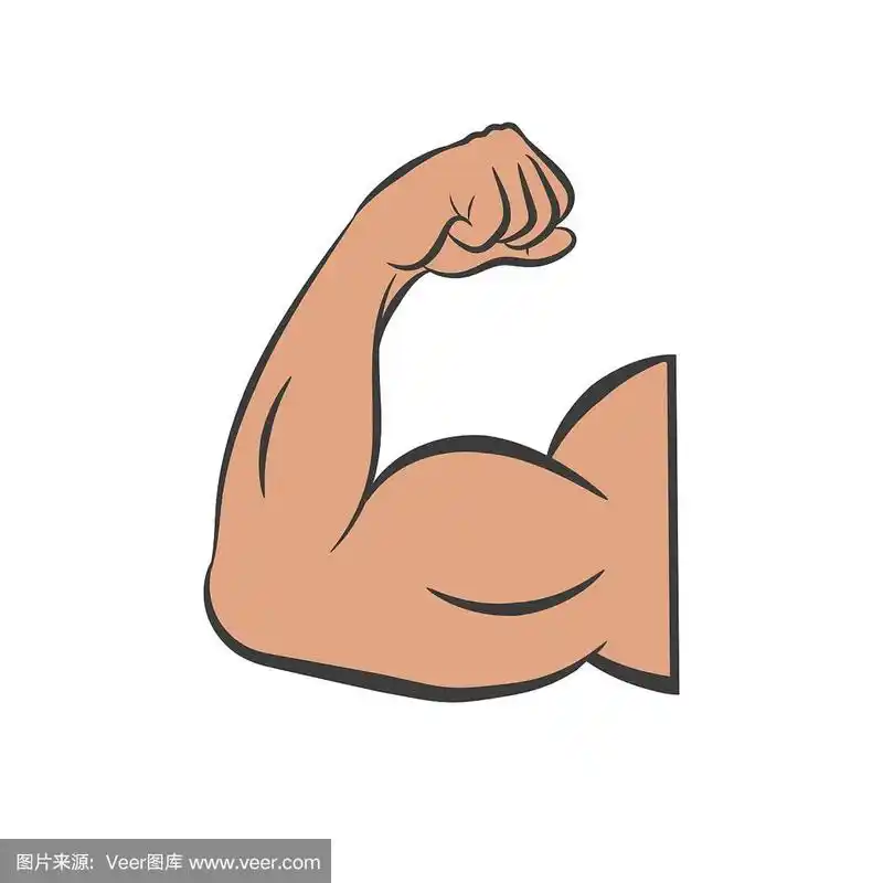 弯曲二头肌力量或手臂