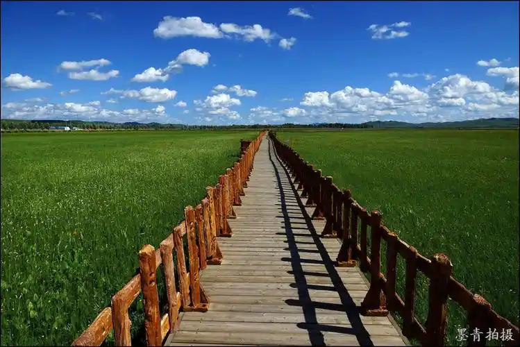 (原摄)河北张家口10-沽源-五花草甸