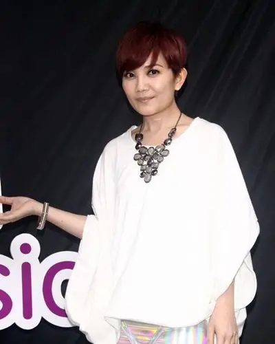 情歌天后梁静茹发型款款动人心弦