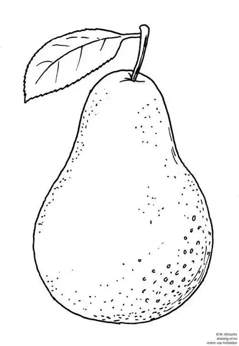 梨子简笔画卡通 简笔画图片大全-普车都