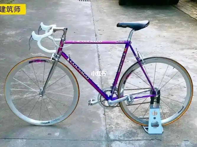 colnago  #梅花  #钢架公路车  #公路自行车  #中古钢架车  #钢架