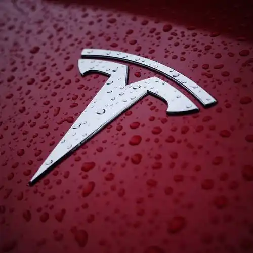 特斯拉的logo 图源:时代周报记者拍摄这位车主说特斯拉有给电池加热的