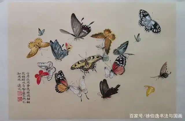 徐伯逸笔下的百蝶图