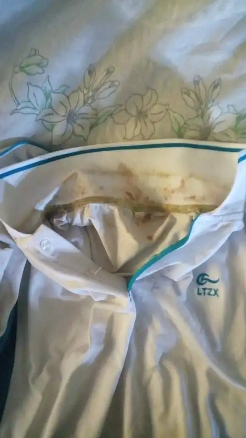 去外地玩了一个多月,今天回家一收拾便发现我的两套白校服居然忘记洗
