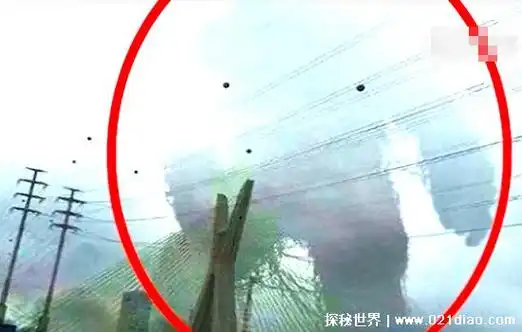 5个被拍到的巨人赞比亚高空巨人坎大哈红发巨人看着就害怕