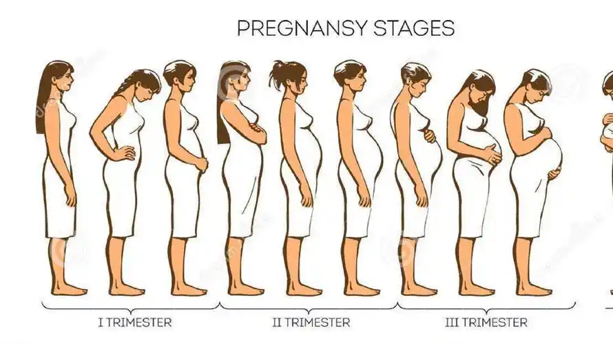 【气血健康讲堂001】女人一生改变体质,唯一最好的时机