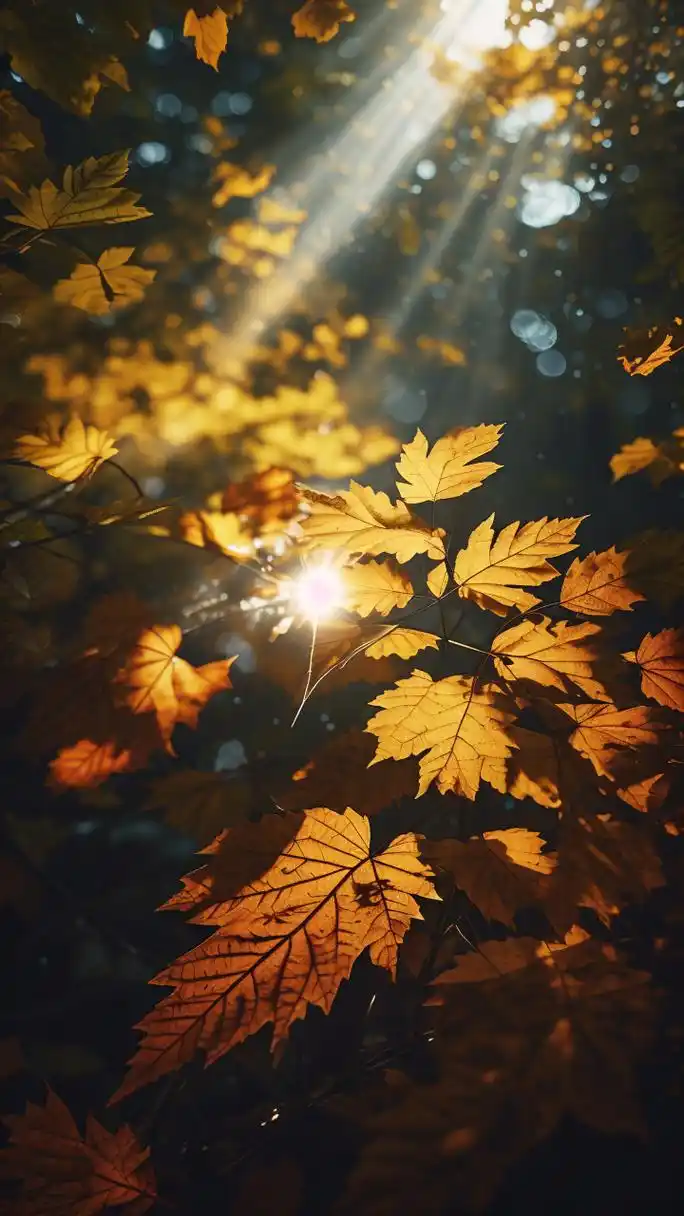 91护眼绿色植物壁纸,给眼睛做个spa9869♀15 亲们,是不是看