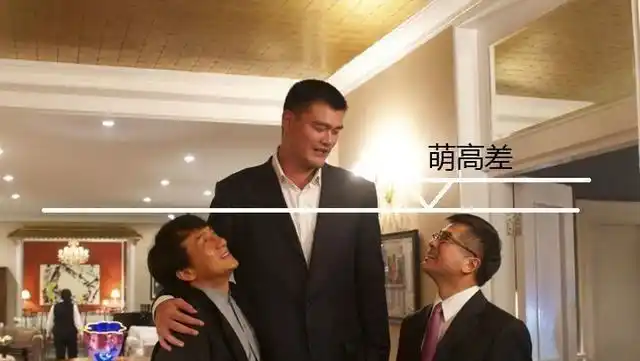 各种最萌身高差|韩德君|潘长江|奥尼尔_新浪新闻