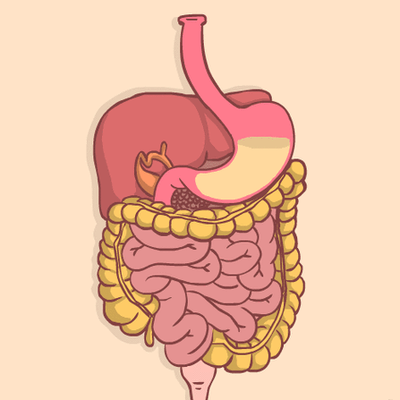 这个"小精灵",帮你精准揪出消化道早癌!