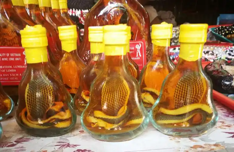 这个是药酒,里面泡的是眼镜蛇.