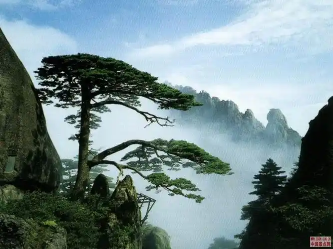 黄山_旅游景点_中华康网