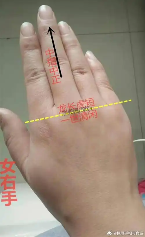 天纹朝指事业稳,人纹双重才艺多的手相