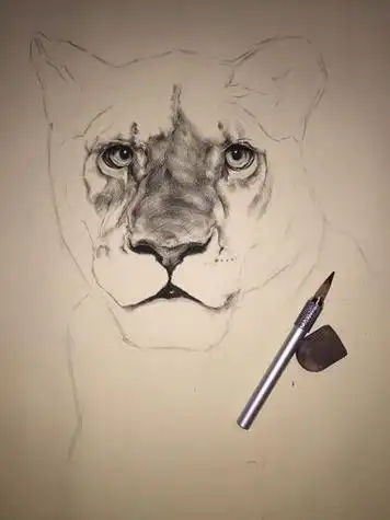 素描动物简单素描小动物简单画法