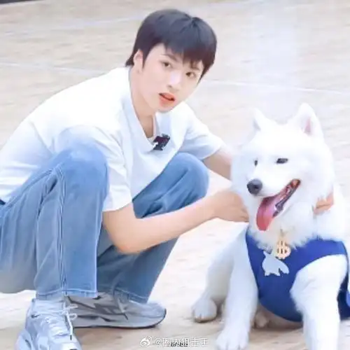 刘耀文|土豆_新浪新闻