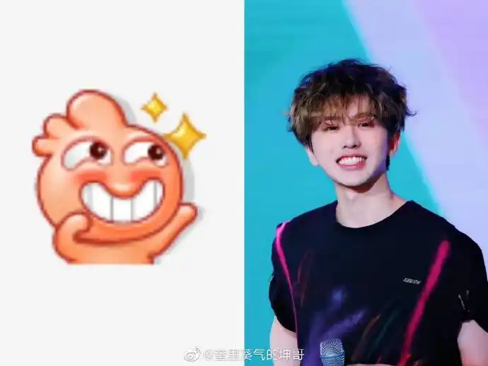 蔡徐坤分享190417可可爱爱蔡小葵是表情包本包吧