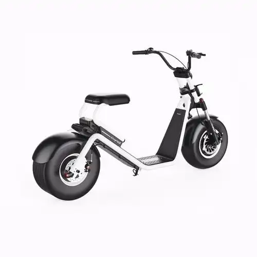 eec approved 60v 12ah 1000w adult electric motorcycle ,citycoco
