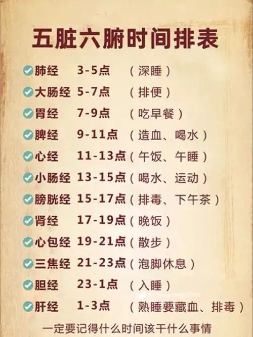 五脏六腑时间排行表