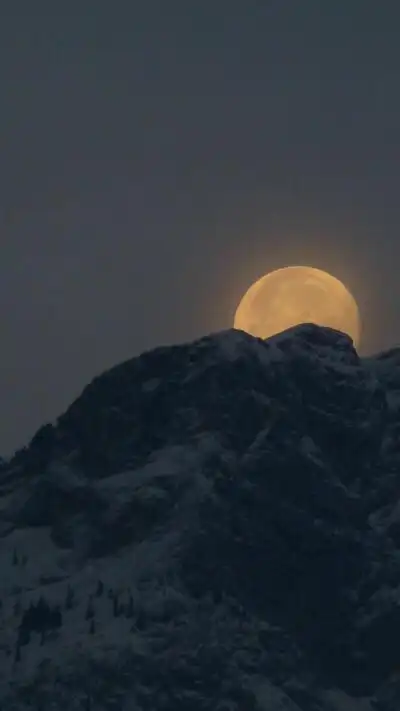 壁纸冷淡图源:ins@ june.picc