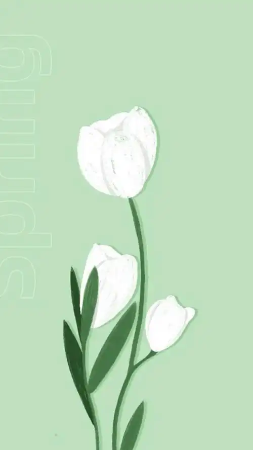 郁金香小清新插画壁纸