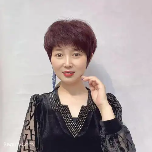 诗诺格假发纹理烫经典短发女士高品质手工钩织发套婆婆妈妈发型