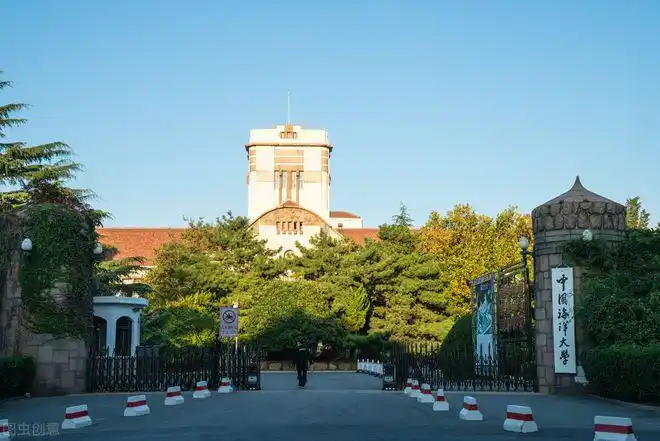 青岛大学|青岛科技大学|青岛理工大学|山东科技大学_网易对阅