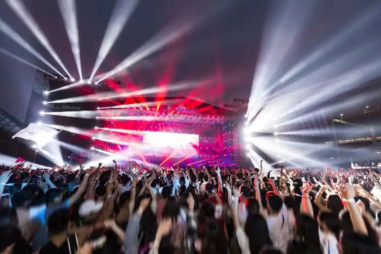 看演唱会后肾结石被"震碎"?在现场心突突跳怎么办?专家解答!