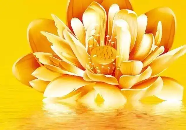 佛说阿弥陀经析97东方亦有阿閦鞞佛须弥相佛大须弥佛一切诸佛所护念经