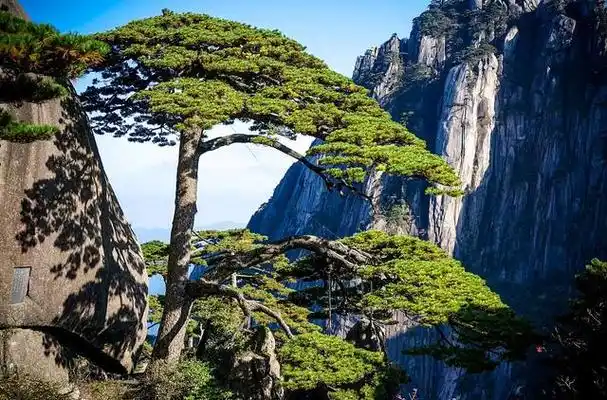 黄山位于安徽省黄山市,是中国著名的山岳风景区,也是世界文化与自然