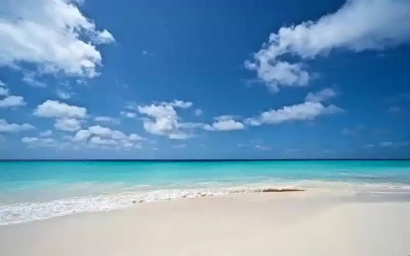 十无的画ipad商业插画课-从零基础到自由插画师