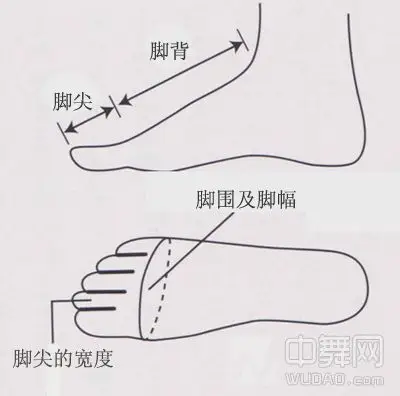 如果因为脚尖很挤脚,盲目