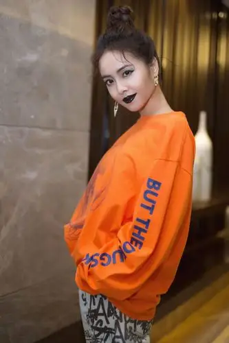 蔡依林向歌词被批低俗发起挑战:姐压轴献唱我呸!