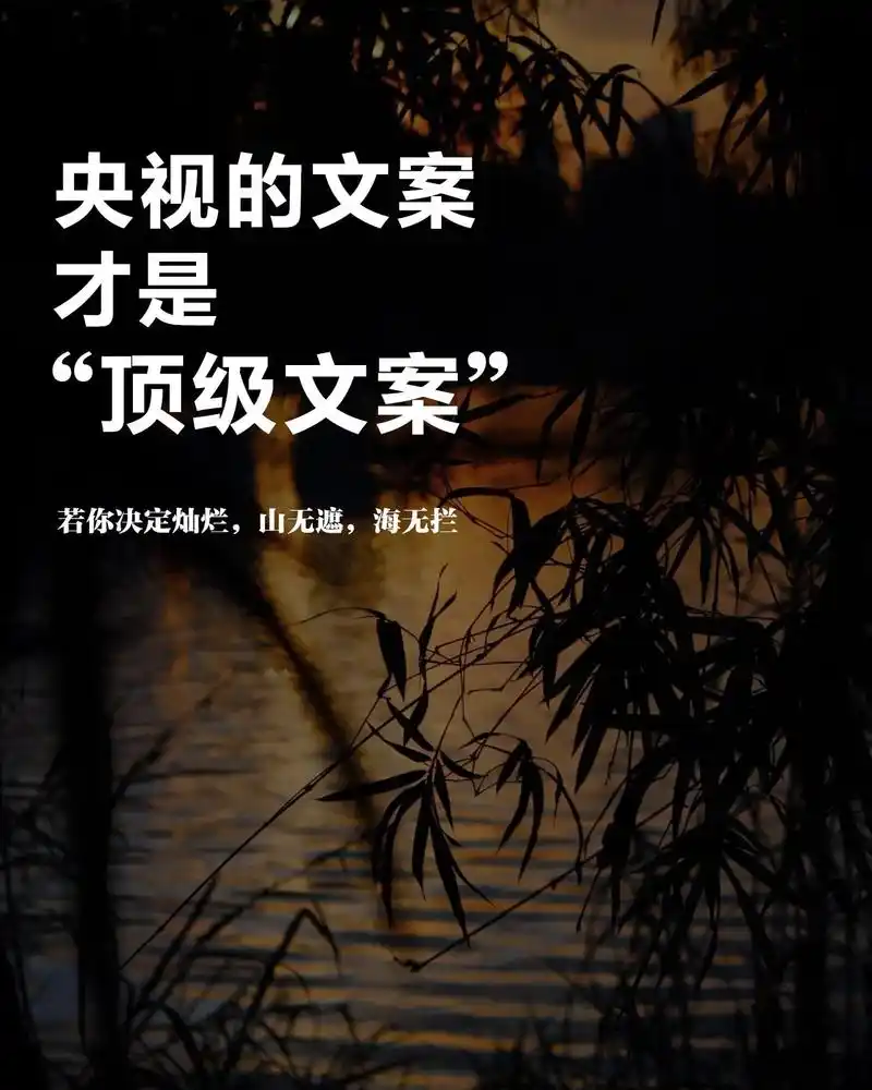 高级文案.有深度有内涵的央视文案|||#今日文案[话题]#  - 抖音