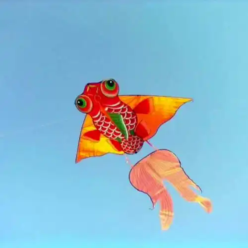 别钓小鱼 我的风筝