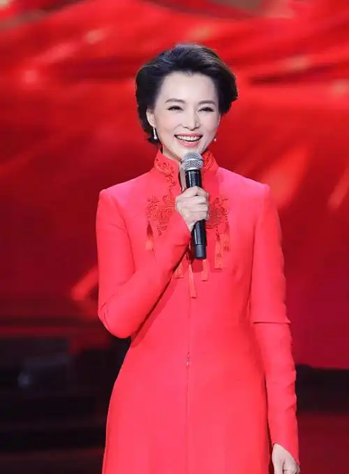 原创钟丽缇和董卿撞衫同一件礼服裙性感在气质面前不值一提